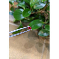 0.54 Ct. Ruby from Mozambique Life Style