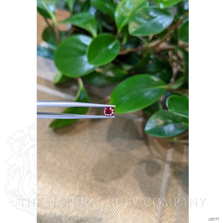 0.68 Ct. Ruby from Mozambique