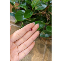 0.68 Ct. Ruby from Mozambique Life Style