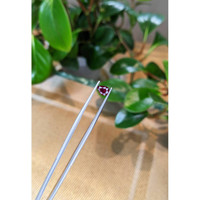 0.85 Ct. Ruby from Burma (Myanmar) Life Style