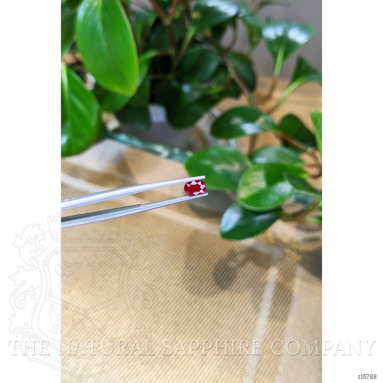 0.80 Ct. Ruby from Madagascar
