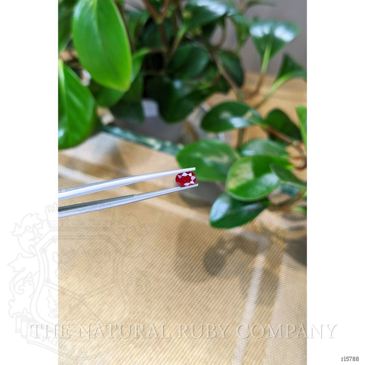 0.80 Ct. Ruby from Madagascar