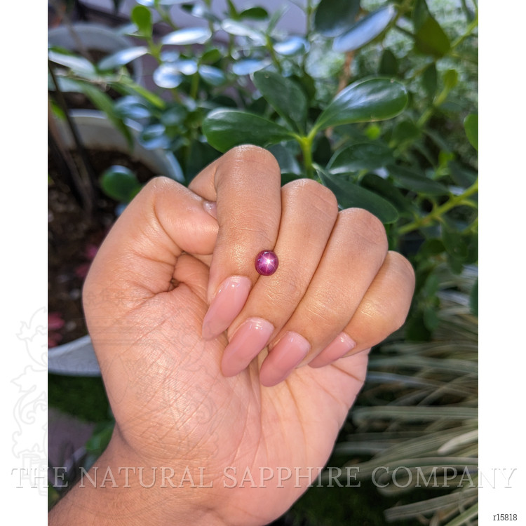 1.80 Ct. Star Ruby from Tanzania