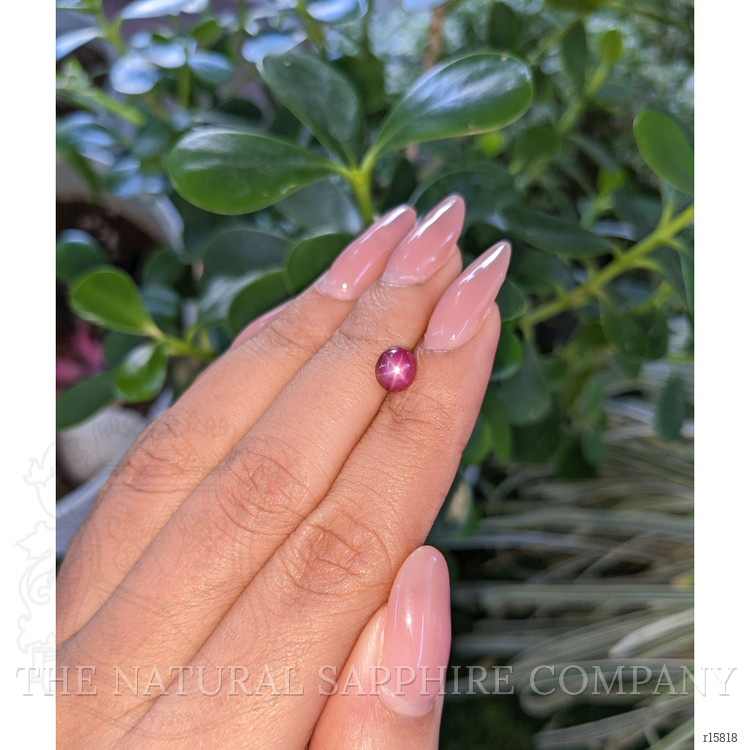 1.80 Ct. Star Ruby from Tanzania