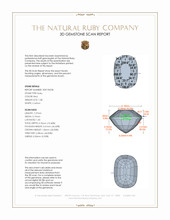 Jewelry 3 D Scan Report