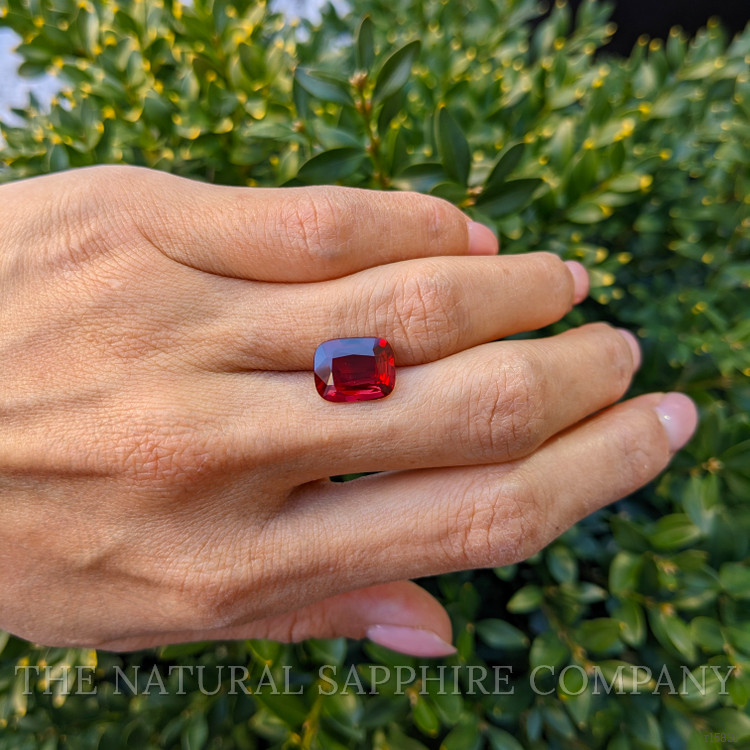 5.01 Ct. Ruby from Mozambique