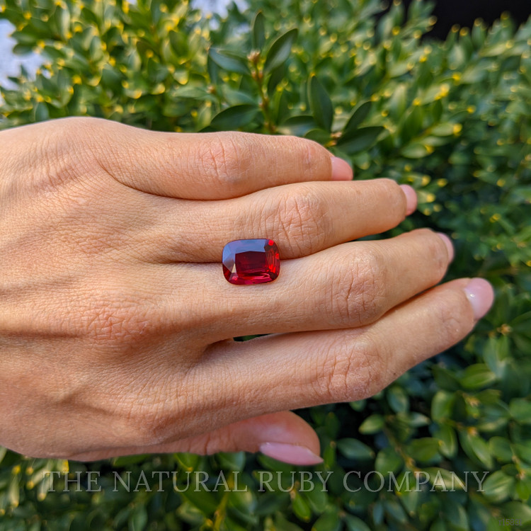 5.01 Ct. Ruby from Mozambique