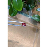 3.80 Ct. Ruby from Mozambique Life Style