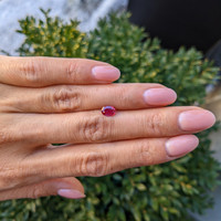 0.65 Ct. Ruby from Ceylon (Sri Lanka) Life Style