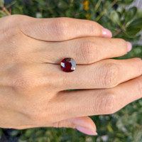 3.24 Ct. Ruby from Mozambique Life Style