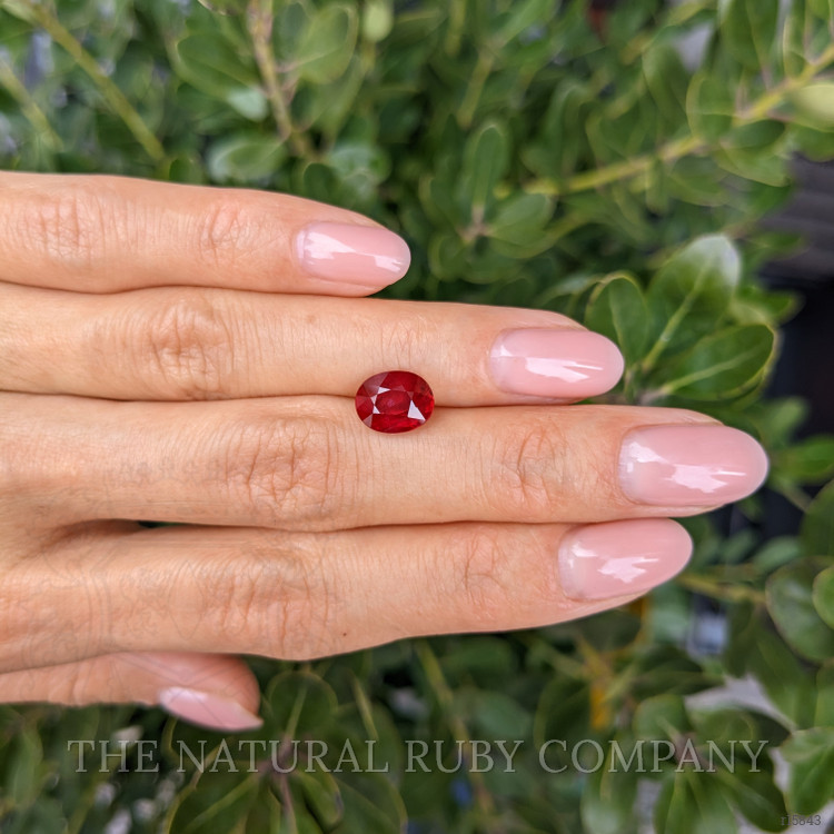 3.10 Ct. Ruby from Mozambique