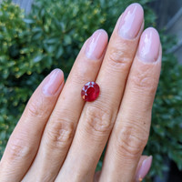 3.11 Ct. Ruby from Mozambique Life Style