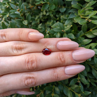 3.01 Ct. Ruby from Mozambique Life Style