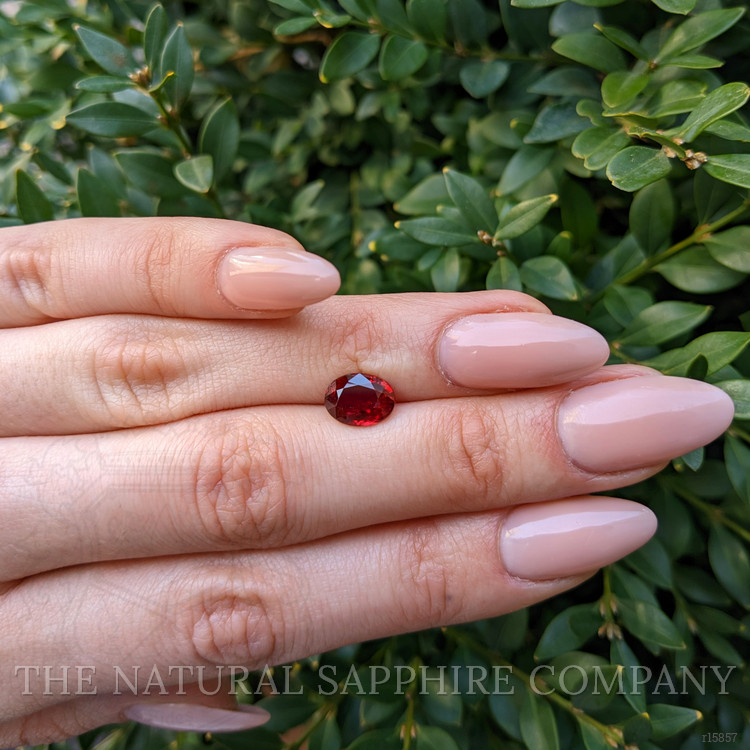 3.01 Ct. Ruby from Mozambique