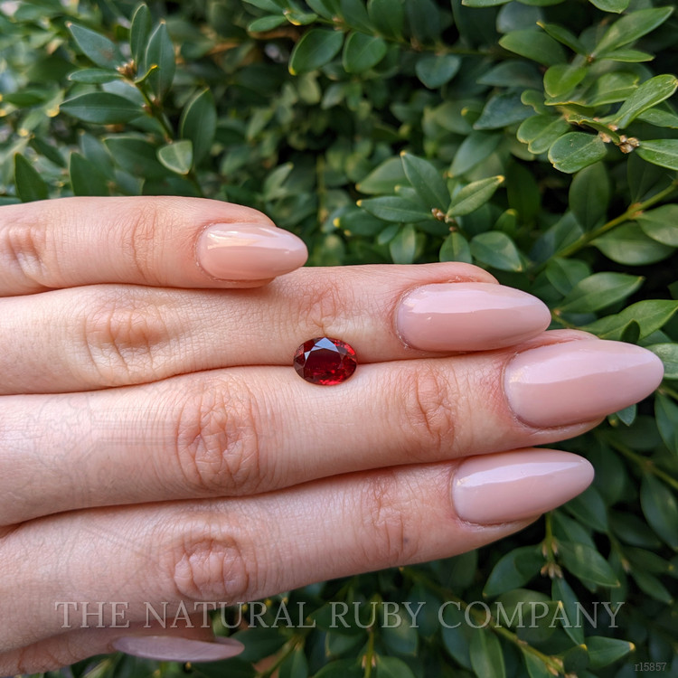 3.01 Ct. Ruby from Mozambique