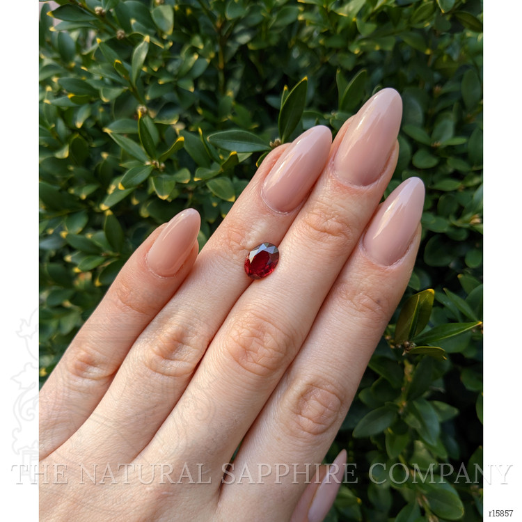 3.01 Ct. Ruby from Mozambique