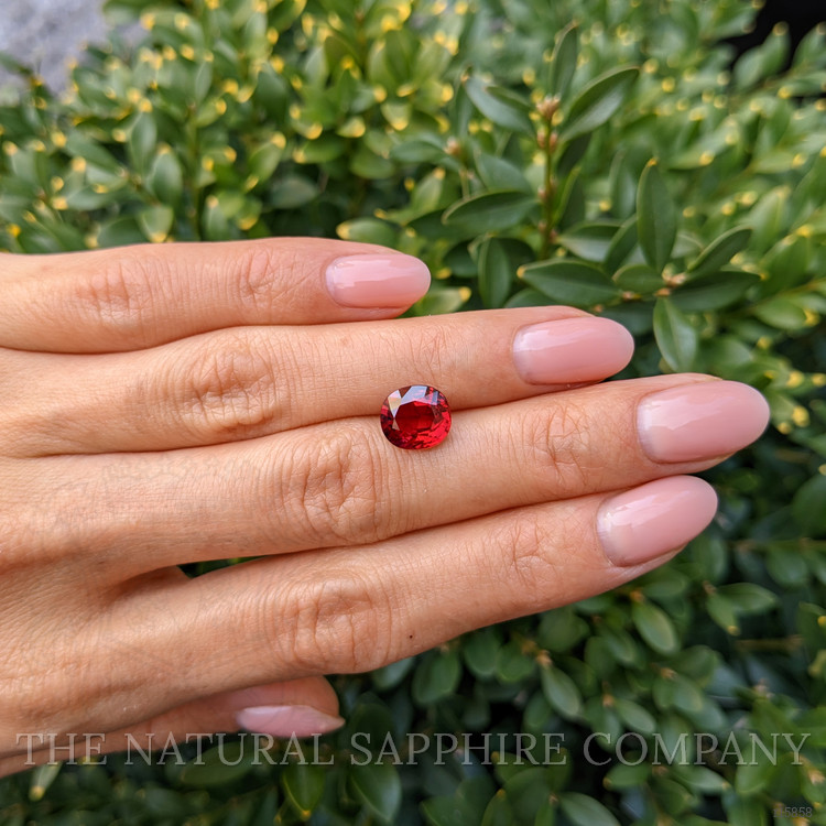 3.13 Ct. Ruby from Mozambique