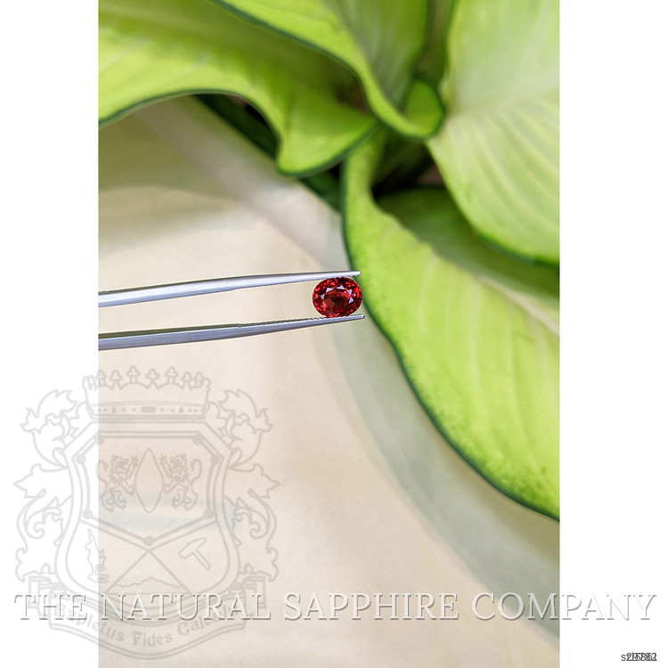 2.17 Ct. Ruby from Ceylon (Sri Lanka)