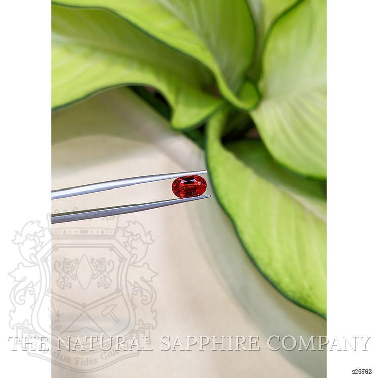 2.42 Ct. Ruby from Ceylon (Sri Lanka)