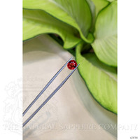 2.36 Ct. Ruby from Ceylon (Sri Lanka) Life Style