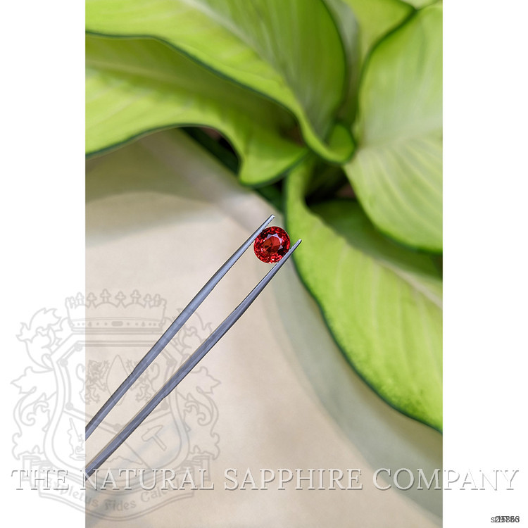 2.36 Ct. Ruby from Ceylon (Sri Lanka)