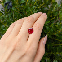 6.06 Ct. Ruby from Mozambique Life Style