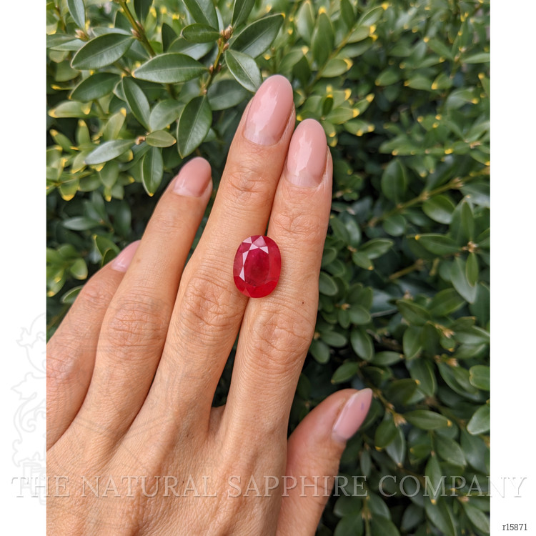 9.60 Ct. Ruby from Burma (Myanmar)