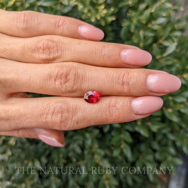 1.68 Ct. Ruby from Mozambique