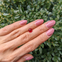 2.33 Ct. Cabochon Ruby from Mozambique Life Style