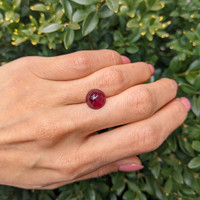 4.72 Ct. Cabochon Ruby from Mozambique Life Style