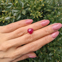 6.09 Ct. Cabochon Ruby from Mozambique Life Style