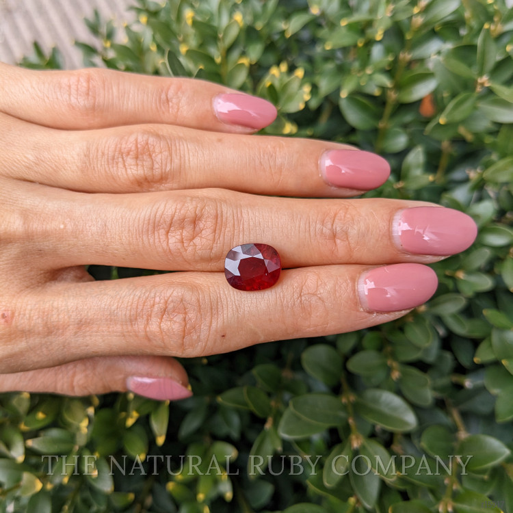 4.98 Ct. Ruby from Mozambique