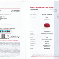 19.53 Ct. Ruby from Mozambique Scan Report