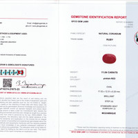 11.04 Ct. Pinkish Red Ruby from Mozambique Scan Report