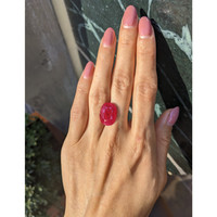 11.04 Ct. Ruby from Mozambique Life Style