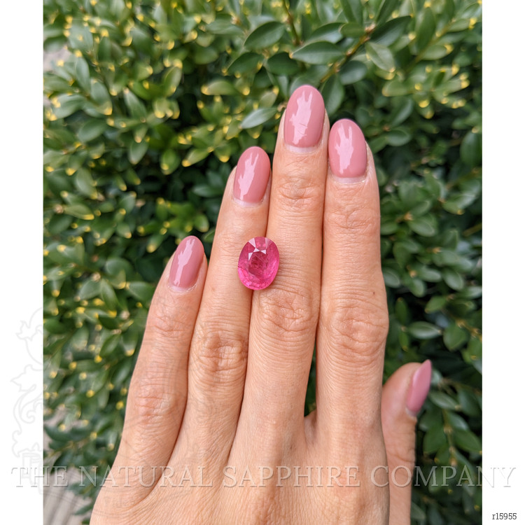7.75 Ct. Ruby from Mozambique