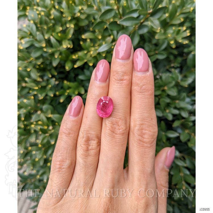 7.75 Ct. Ruby from Mozambique
