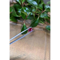 2.53 Ct. Ruby from Burma (Myanmar) Life Style