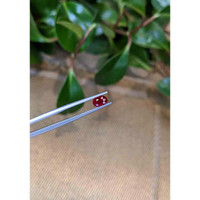 0.83 Ct. Ruby from Burma (Myanmar) Life Style