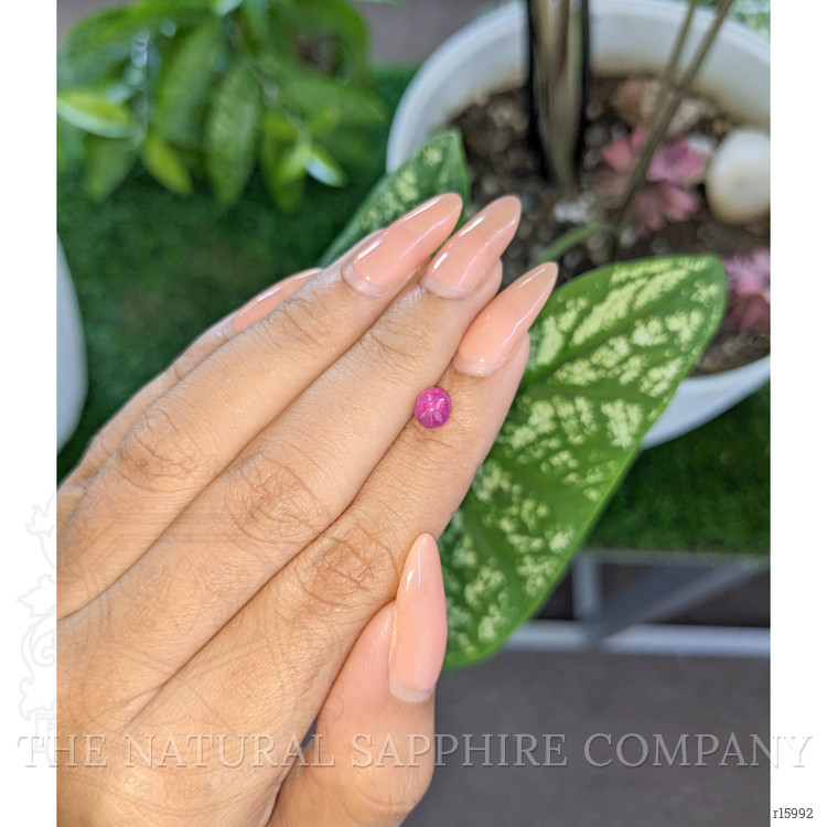 1.32 Ct. Purplish Red Star Ruby from Ceylon (Sri Lanka)