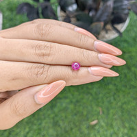 1.32 Ct. Purplish Red Star Ruby from Ceylon (Sri Lanka) Life Style