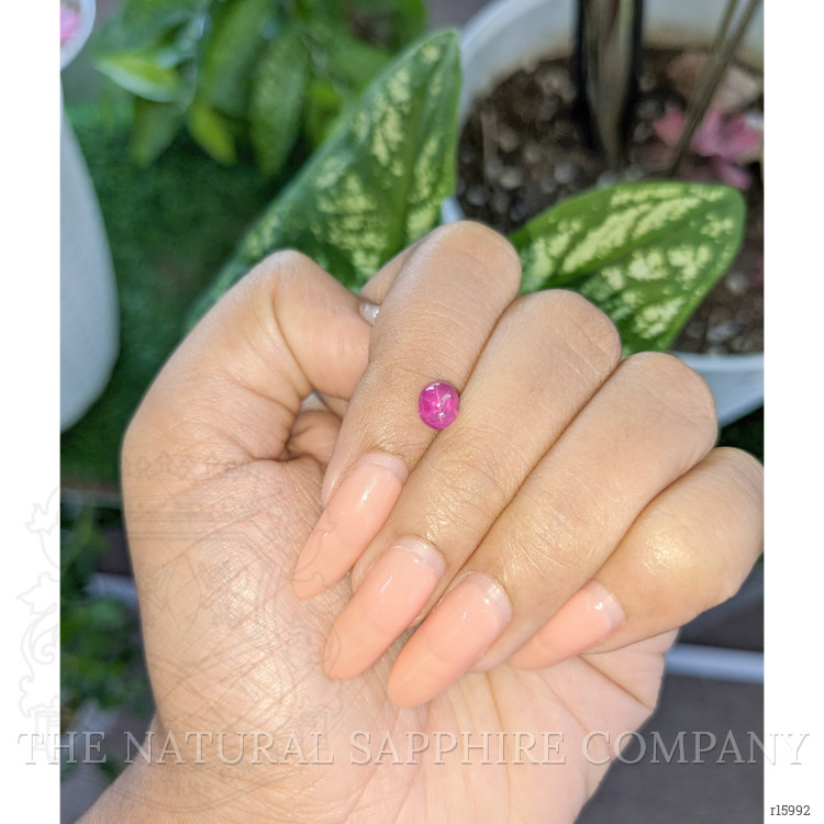 1.32 Ct. Purplish Red Star Ruby from Ceylon (Sri Lanka)