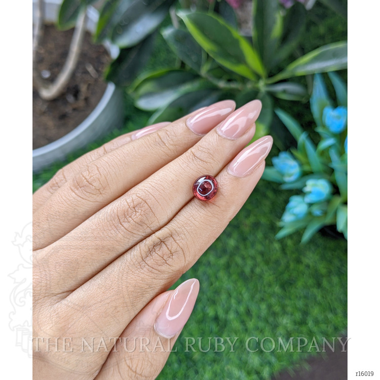 4.05 Ct. Cabochon Ruby from India