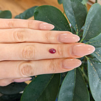 1.70 Ct. Cabochon Ruby from Thailand Life Style