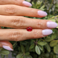 1.61 Ct. Ruby from Burma (Myanmar) Life Style