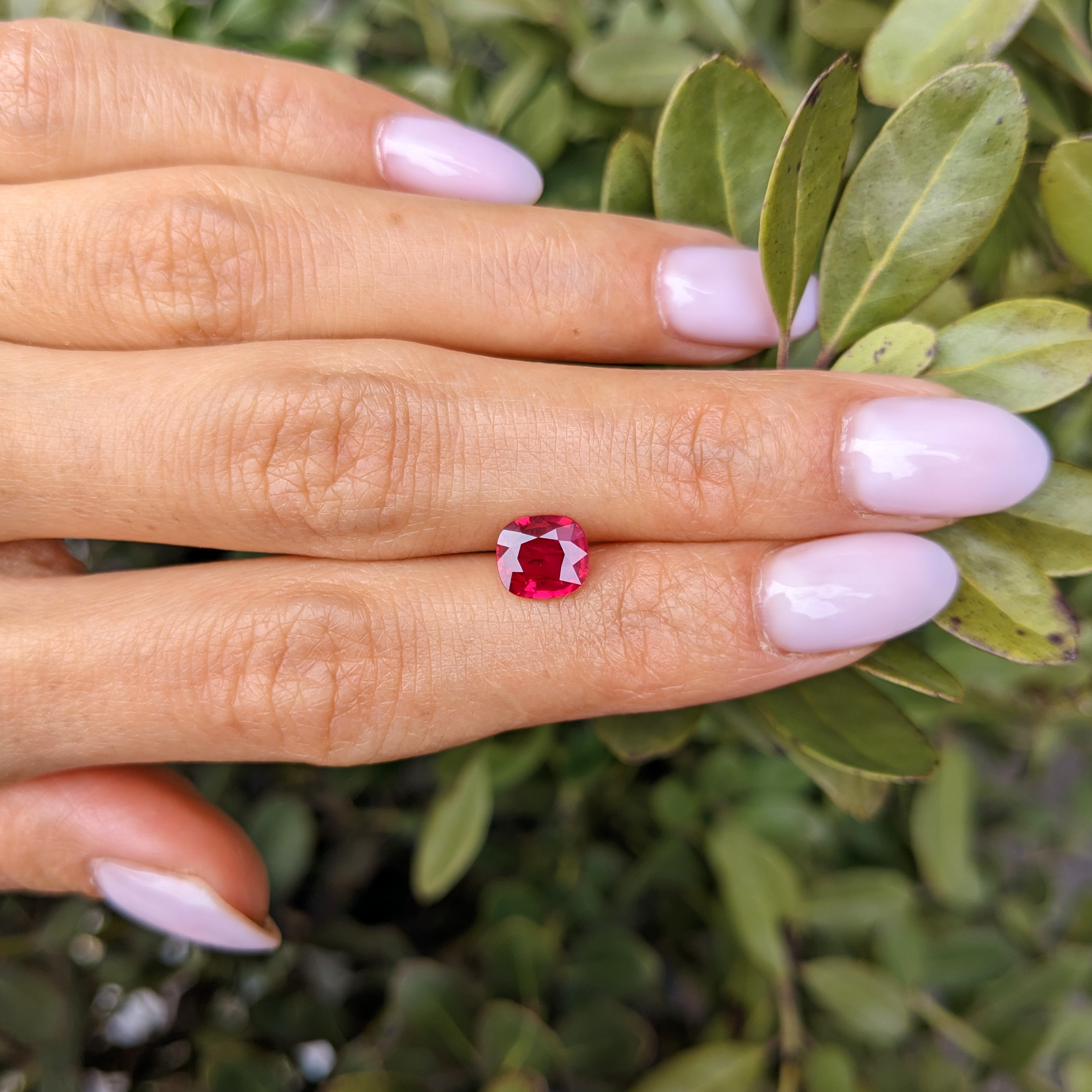 Loose Ruby - Cushion 1.52 Ct. - #R16031 | The Natural Ruby Company