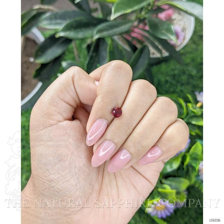 1.07 Ct. Ruby from India