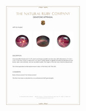 21.49 Ct. Star Ruby from Burma (Myanmar) Appraisal