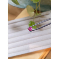 1.55 Ct. Star Ruby from Burma (Myanmar) Life Style