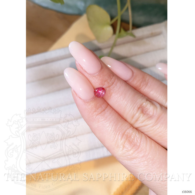 1.55 Ct. Star Ruby from Burma (Myanmar)